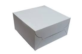 CAKE BOX 10*10*5 WHITE (10 PCS)