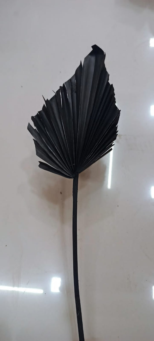 PALM LEAF DRIED #4 BLACK
