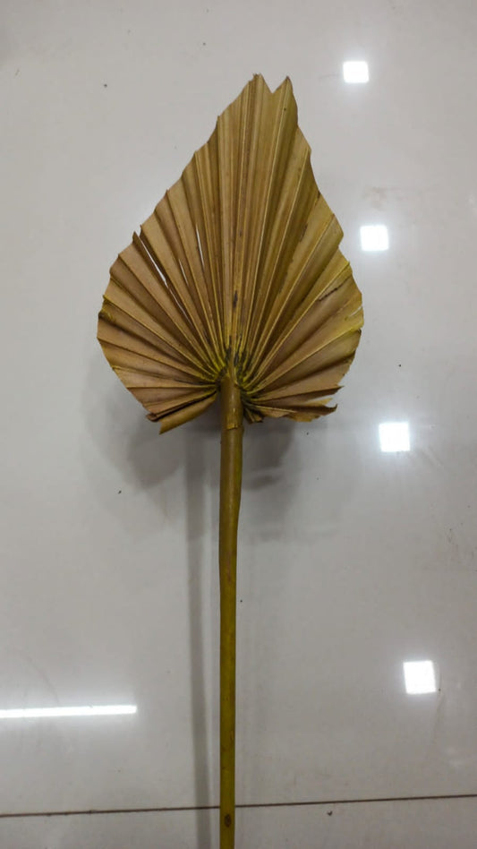PALM LEAF DRIED #3 NATURAL