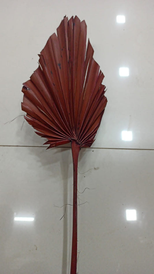 PALM LEAF DRIED #2 BRONZE