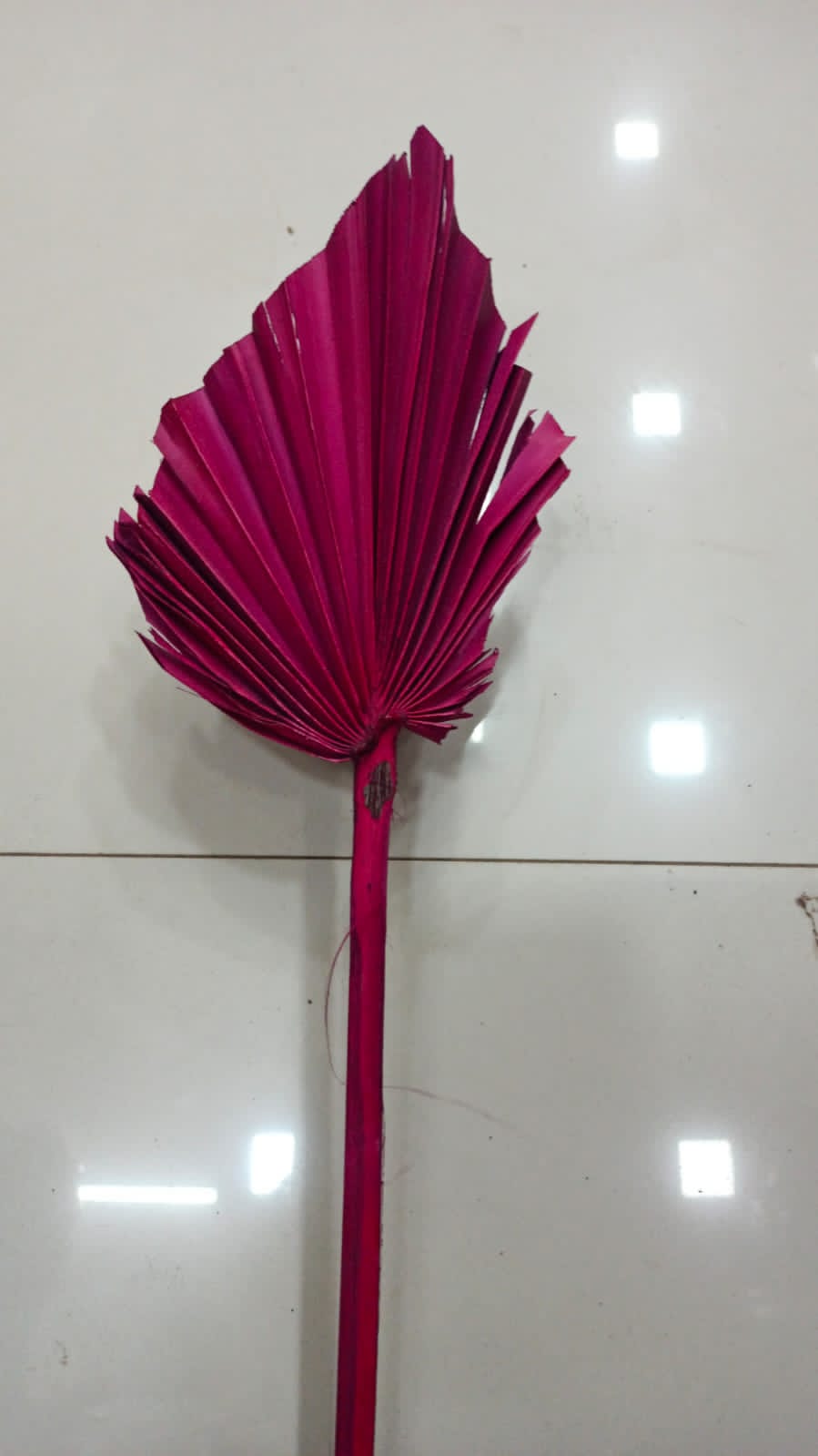 PALM LEAF DRIED #1 PINK
