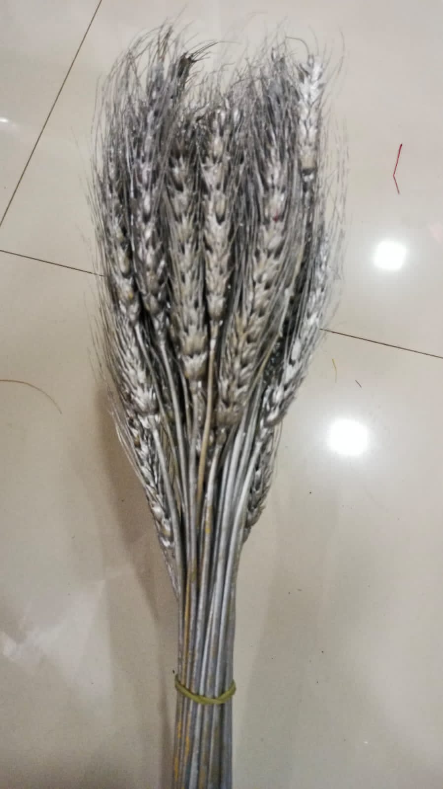 Wheat Grass Silver Bunch Of 10 Pcs