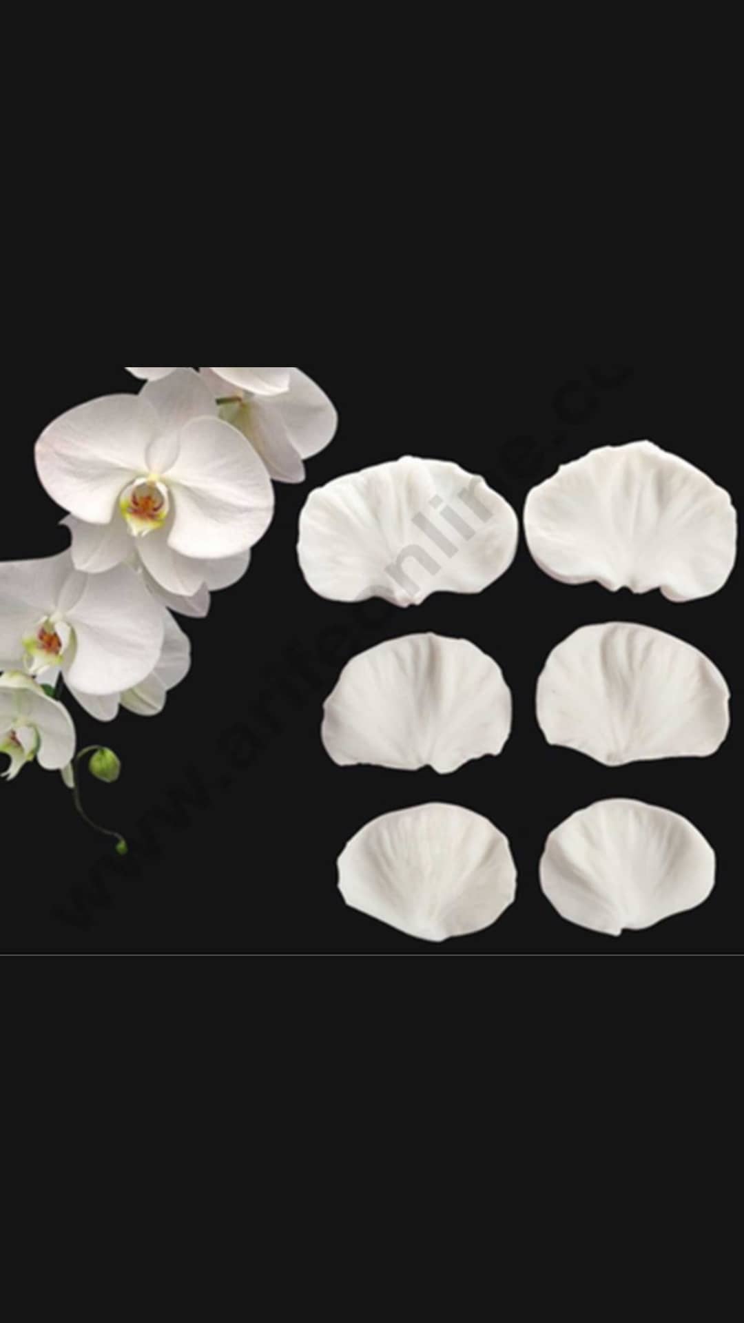 6 Cavity Leaves Shape Silicone Fondant Mold Silicon Marzipan Mould #46
