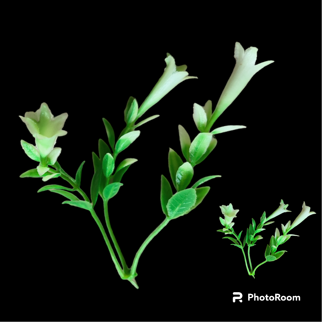 3 STEM DAFODIL LEAF 25 PCS APCK