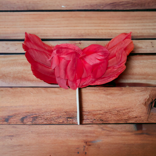 Red Feather With Red Heart