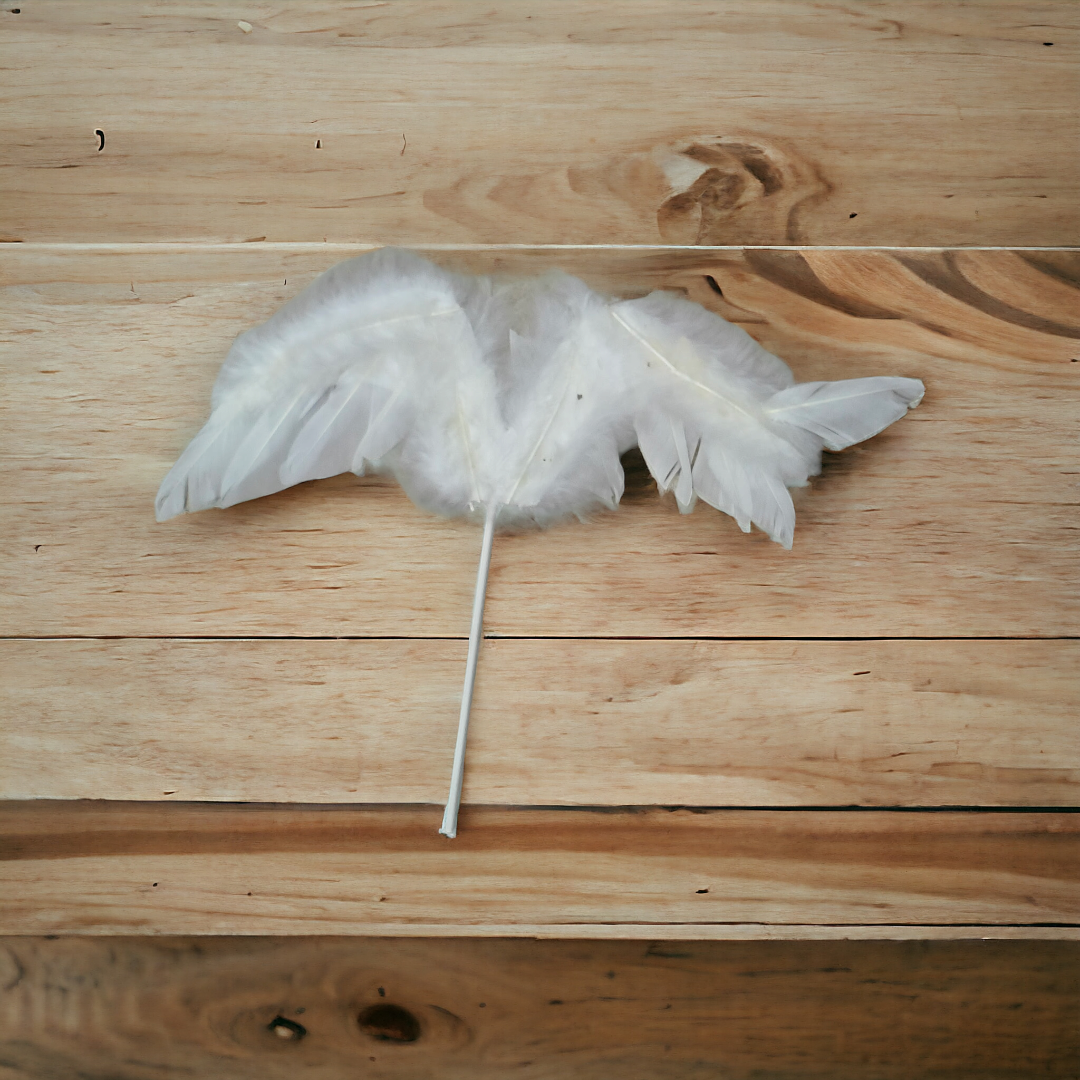 White Wings Feather