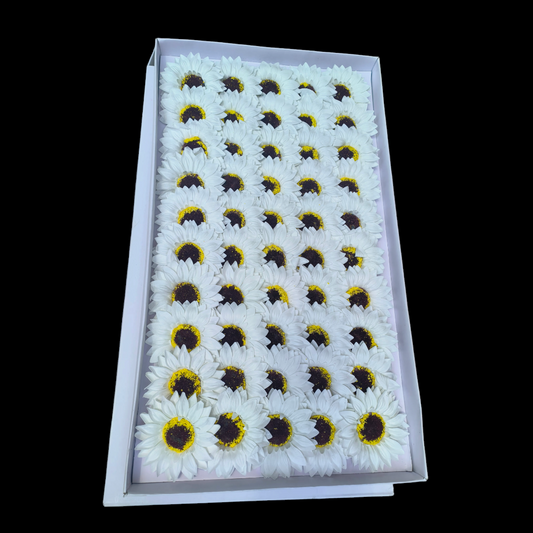 ARTIFICIAL SCENTED SUNFLOWER WHITE 10 PCS PACK