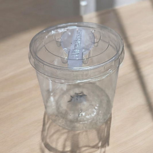 PET JAR WITH SPOON 240 ML-10 PCS PACK