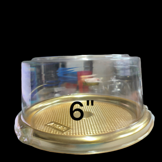 PVC BENTO BOX 6*2.5 INCH''-10 PCS PACK