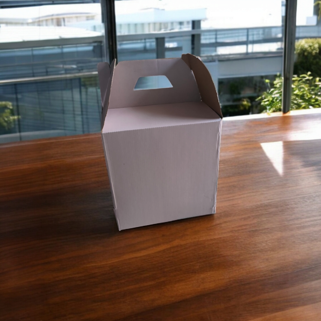 Cake Box Corrugated 10*10*10 inch Size -5 PC's pack