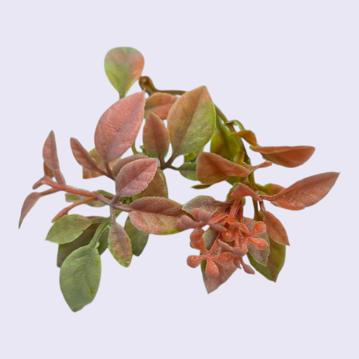 Artificial Colours Leaf pack of 10 PC's Green Red
