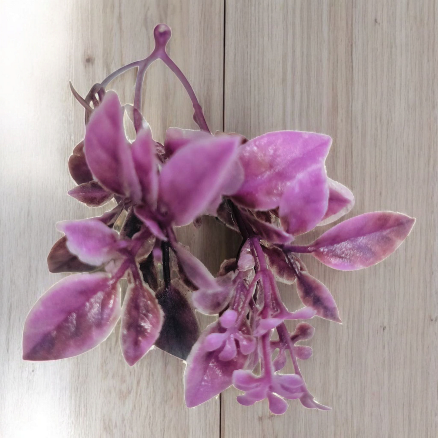Artificial Colours Leaf pack of 10 PC's Purple