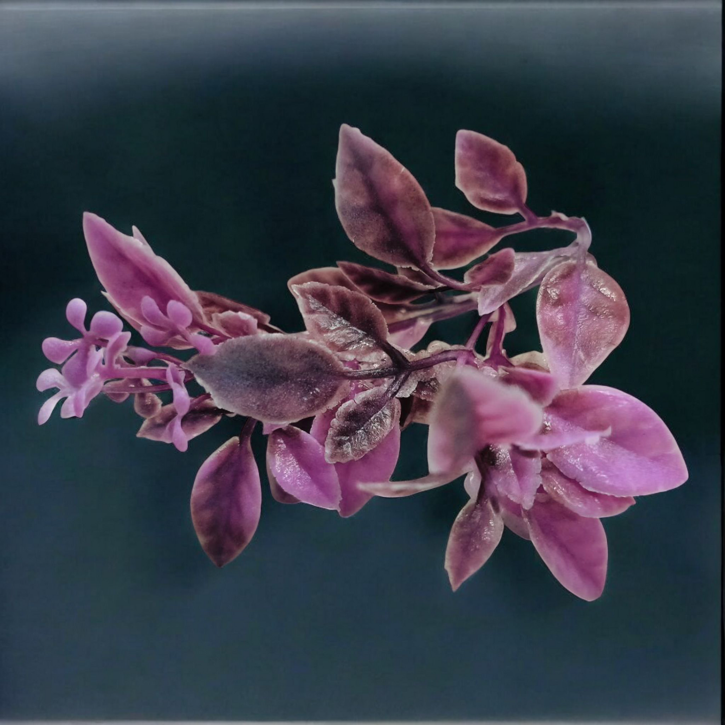 Artificial Colours Leaf pack of 10 PC's Purple