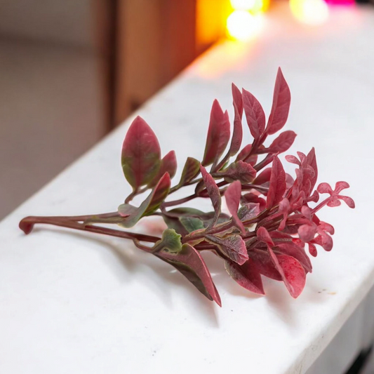 Artificial Colours Leaf pack of 10 PC's Red