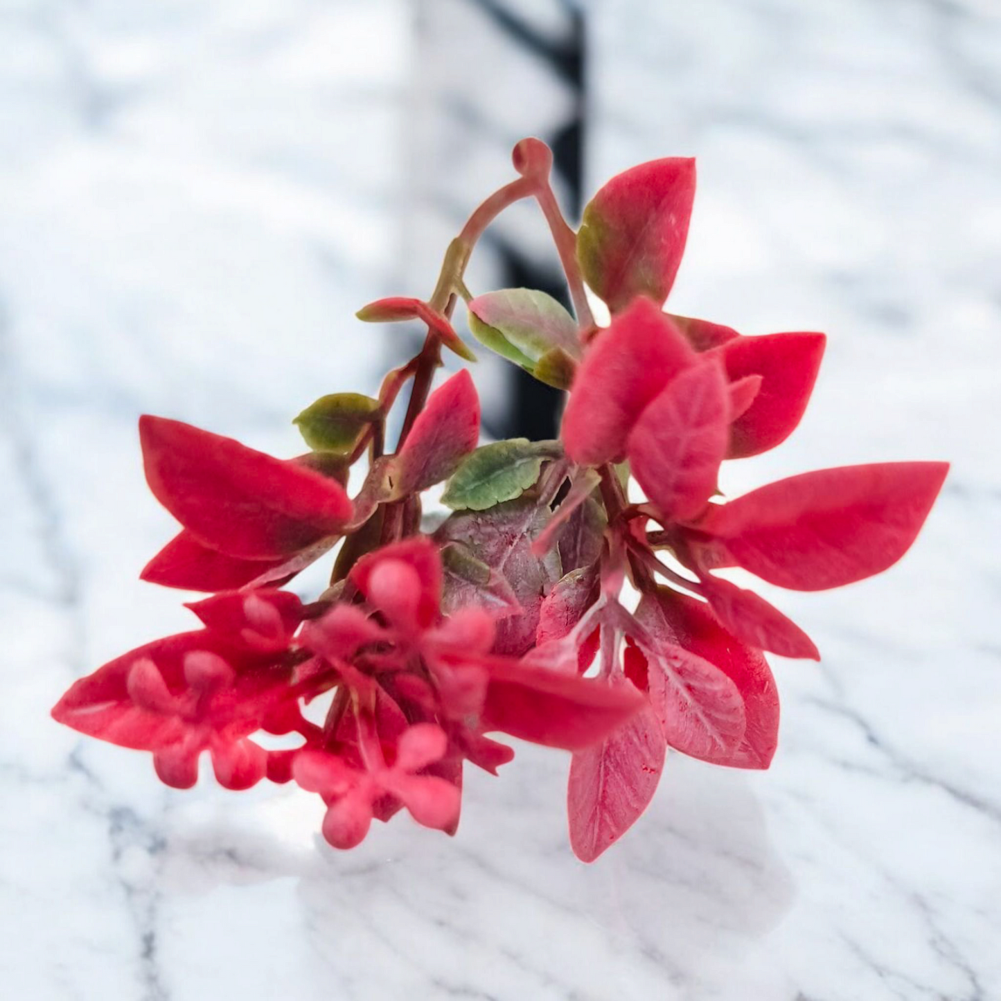 Artificial Colours Leaf pack of 10 PC's Red