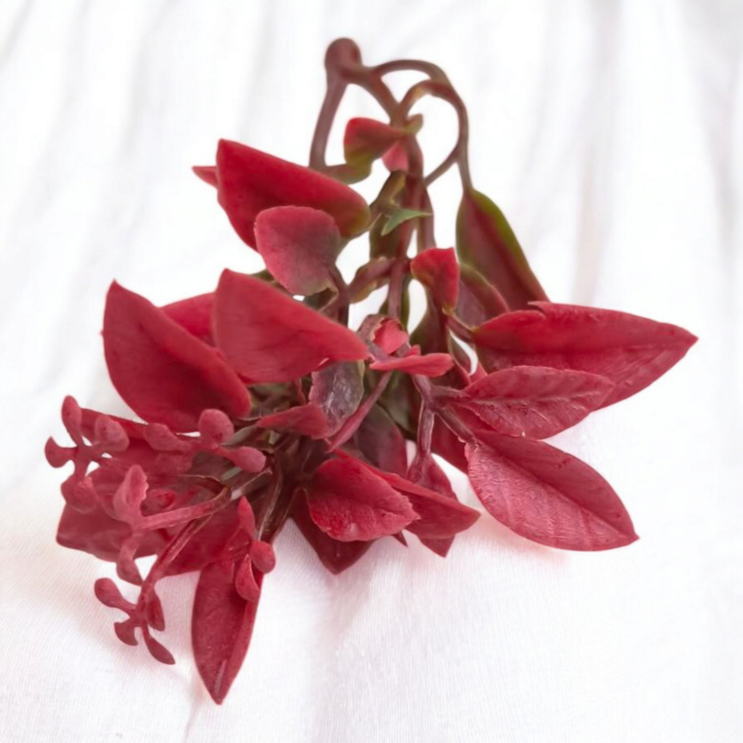 Artificial Colours Leaf pack of 10 PC's Red