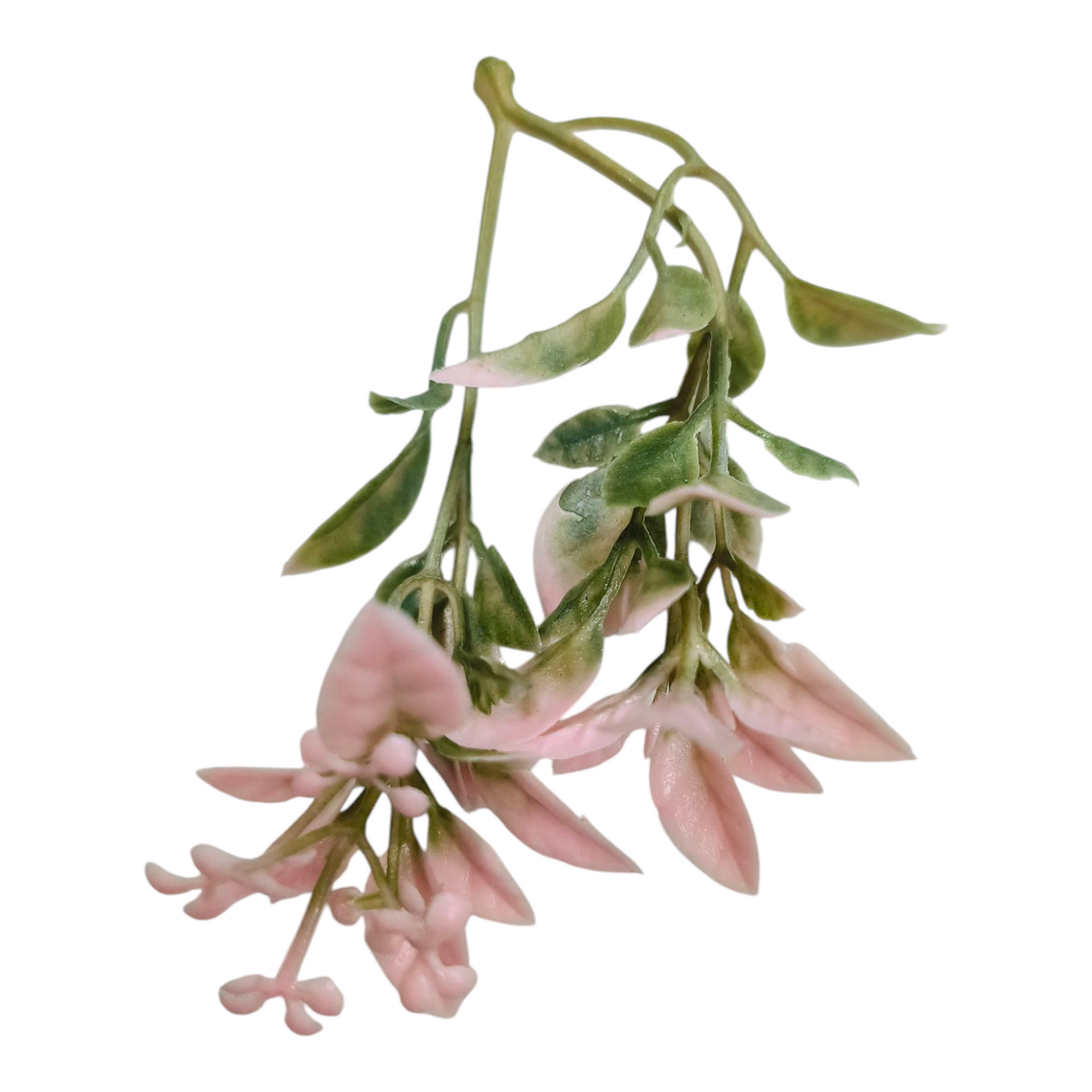 Artificial Colours Leaf pack of 10 PC's Light Pink