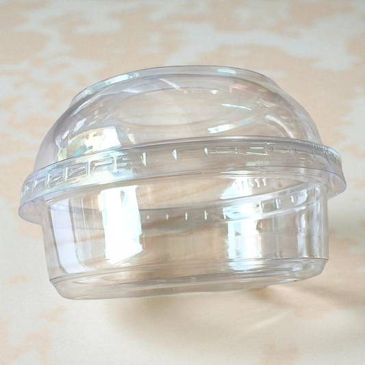 Plastic Clear Dessert Tub With Lid |10 PC's pack| 250 ml #4