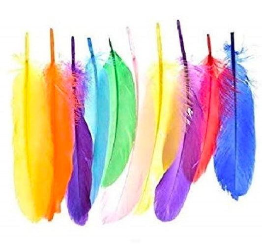 Feathers Pack Of 10pcs