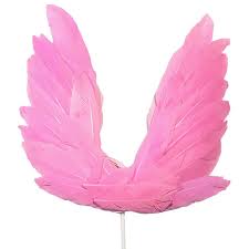 Feather Topper Wings-Pink