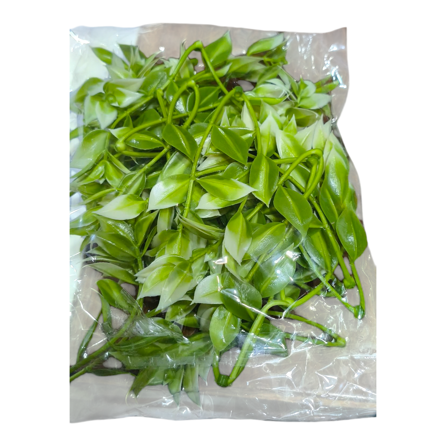 Artificial Green Leaf pack of 25 PC's #7