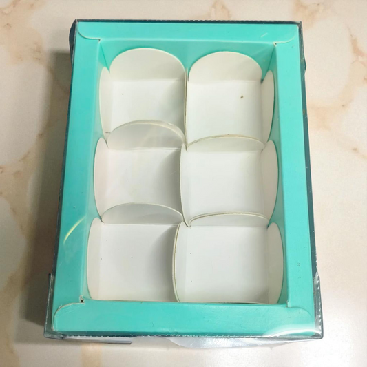 6 Cavity Chocolate Box| Transparent Top| Mint Green| 10 PC's pack