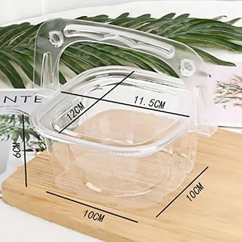 Plastic Dessert Tub | 500.ml | 10 PC's pack